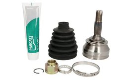 CAP PLANETARA PASCAL G1C037PC - Compatibil cu CITROEN, PEUGEOT