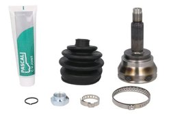 CAP PLANETARA PASCAL G1G012PC - Compatibil cu FORD