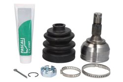 CAP PLANETARA PASCAL G1P004PC - Compatibil cu ALFA ROMEO, CITROEN, PEUGEOT