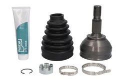 CAP PLANETARA PASCAL G1P023PC - Compatibil cu CITROEN, PEUGEOT