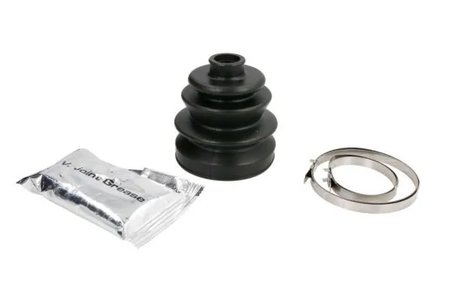 Ansamblu burduf articulatie planetara Pascal G54023PC