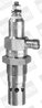 Bujie incandescenta BorgWarner (BERU) GF006