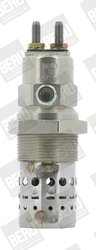Bujie incandescenta BorgWarner (BERU) GF529
