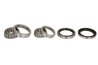 SET RULMENT ROATA BTA H10304BTA - Compatibil cu KIA