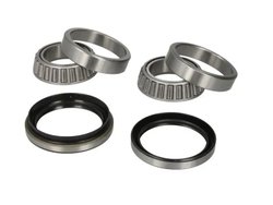 Set rulment roata BTA H10311BTA