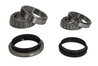 SET RULMENT ROATA BTA H11003BTA - Compatibil cu NISSAN