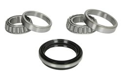 Set rulment roata BTA H11020BTA