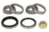 SET RULMENT ROATA BTA H13001BTA - Compatibil cu KIA, MAZDA
