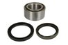 SET RULMENT ROATA BTA H18003BTA - Compatibil cu SUZUKI