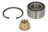 SET RULMENT ROATA BTA H1F012BTA - Compatibil cu FIAT
