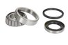 SET RULMENT ROATA BTA H21020BTA - Compatibil cu NISSAN