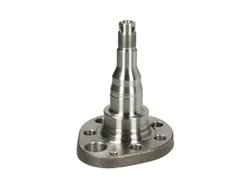Articulatie directie suspensie roata BTA H5W027BTA