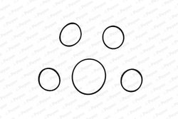 SET GARNITURI GALERIE ADMISIE PAYEN HA5005 - Compatibil cu FIAT, LANCIA