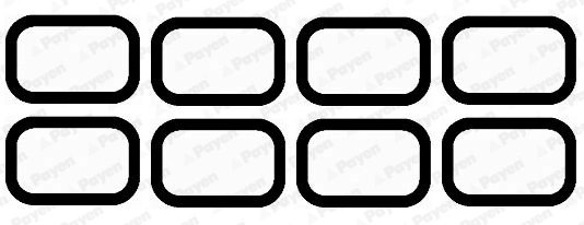 SET GARNITURI GALERIE ADMISIE PAYEN HA5020 - Compatibil cu CITROEN, FORD, FORD (JMC), FORD AUSTRALIA, JAGUAR, JMC, LAND ROVER, L