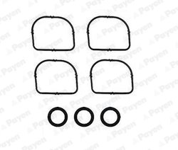 SET GARNITURI GALERIE ADMISIE PAYEN HA5024 - Compatibil cu BMW, BMW (BRILLIANCE)