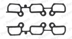 SET GARNITURI GALERIE ADMISIE PAYEN HA5023 - Compatibil cu BMW, BMW (BRILLIANCE)