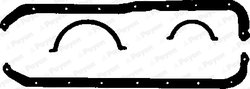 SET GARNITURI, BAIE ULEI PAYEN HC355 - Compatibil cu FORD