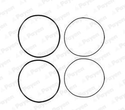 Set garnituri, bucsa cilindru Payen HL5191