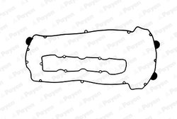 SET GARNITURI CAPAC CULBUTORI PAYEN HM5070 - Compatibil cu SAAB