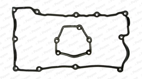 Set garnituri capac culbutori Payen HM5160