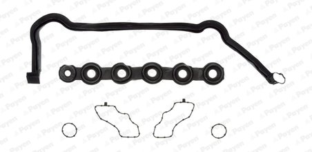 SET GARNITURI CAPAC CULBUTORI PAYEN HM5291 - Compatibil cu NISSAN, OPEL, RENAULT, SAMSUNG, VAUXHALL