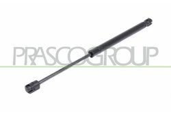 Amortizor portbagaj Prasco HN8029065