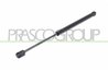 Amortizor portbagaj Prasco HN8029065