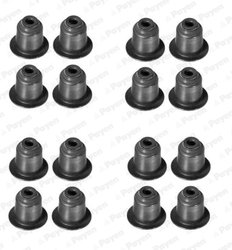 Set garnituri ax supape Payen HR5045