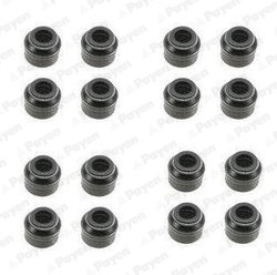 Set garnituri ax supape Payen HR5048