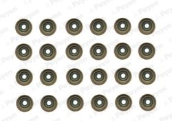 Set garnituri ax supape Payen HR5121