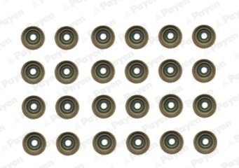 Set garnituri ax supape Payen HR5121