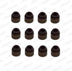 Set garnituri ax supape Payen HR5133