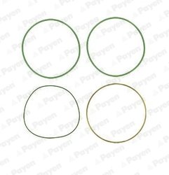 Set garnituri, bucsa cilindru Payen HT018