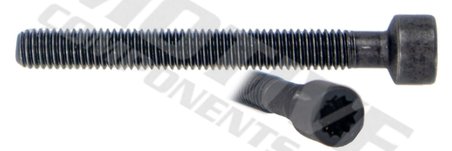 Surub ajustare pompa injectie MOTIVE IB544