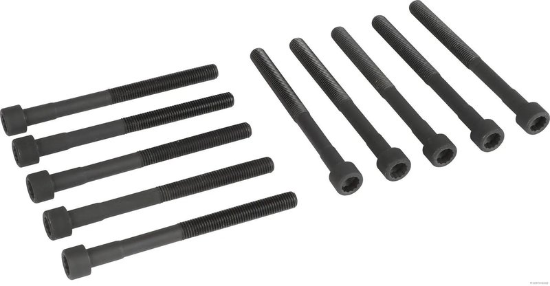 Set suruburi chiulasa Herth+Buss Jakoparts J1282061