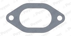 GARNITURA GALERIE ADMISIE PAYEN JC054 - Compatibil cu ALFA ROMEO, AUVERLAND, CITROEN, FIAT, IVECO, LANCIA, MULTICAR, OPEL, OPTAR