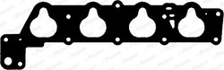 GARNITURA GALERIE ADMISIE PAYEN JD271 - Compatibil cu ALFA ROMEO, FIAT, LANCIA