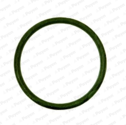 GARNITURA GALERIE ADMISIE PAYEN JD538 - Compatibil cu CITROEN, CITROEN (DF-PSA), FIAT, IRAN KHODRO, PEUGEOT, ZASTAVA