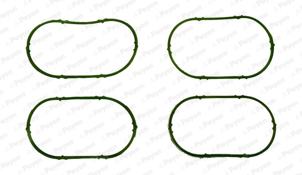 GARNITURA CARCASA GALERIE ADMISIE PAYEN JD5893 - Compatibil cu DACIA, IRAN KHODRO, LADA, NISSAN, OPEL, RENAULT, SAIPA, VAUXHALL