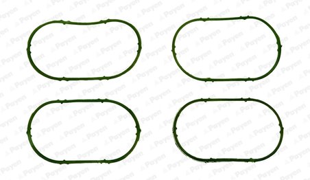 GARNITURA CARCASA GALERIE ADMISIE PAYEN JD5893 - Compatibil cu DACIA, IRAN KHODRO, LADA, NISSAN, OPEL, RENAULT, SAIPA, VAUXHALL