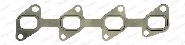 GARNITURA GALERIE EVACUARE PAYEN JD5988 - Compatibil cu LEXUS, TOYOTA