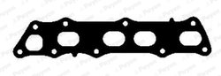 GARNITURA GALERIE EVACUARE PAYEN JD5990 - Compatibil cu HONDA