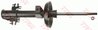 AMORTIZOR TRW JGM166S - Compatibil cu OPEL, VAUXHALL