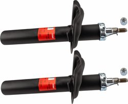 Amortizor TRW JGM3189T
