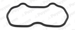 GARNITURA CAPAC CULBUTORI PAYEN JM7162 - Compatibil cu FIAT