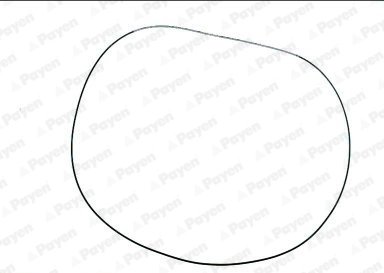 GARNITURA CAPAC CULBUTORI PAYEN JN943 - Compatibil cu BOVA, DAF, NEOPLAN