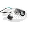 Set curea transmisie cu caneluri Gates K0110PK1980HD