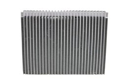 Evaporator aer conditionat Thermotec KTT150036