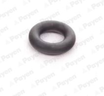 INEL ETANSARE, INJECTOR PAYEN LA5252 - Piesa auto compatibila cu mai multe marci