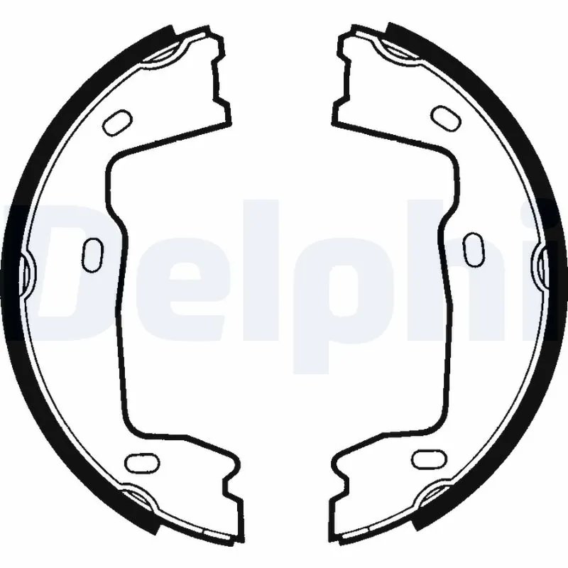 Set saboti frana Delphi LS1381